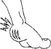 Линия ЮСТ для ног. Лечебная косметика ЮСТ-НАРИН швейцарской фирмы JUSTNAHRIN